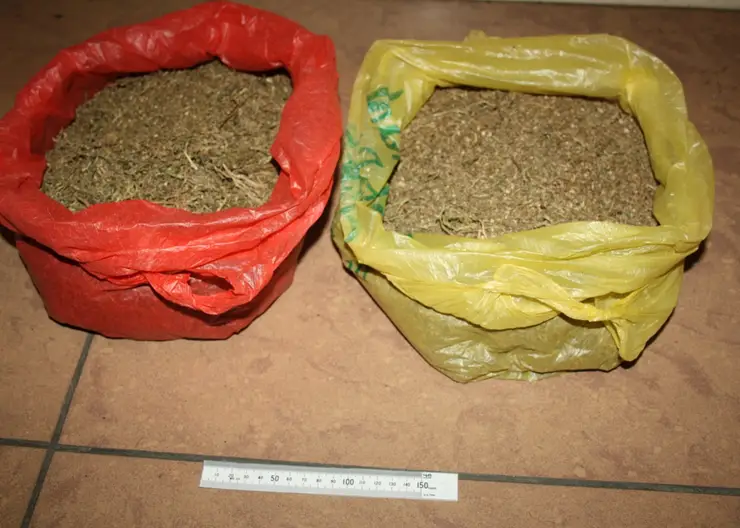 Житель Кемеровской области может сесть в тюрьму на 10 лет из-за заготовок на зиму