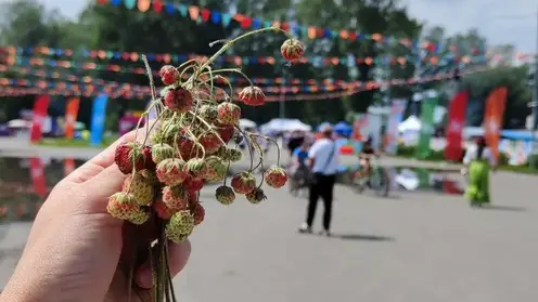 В Красноярском крае первый день фестиваля «МИР Сибири» посетили 12000 зрителей