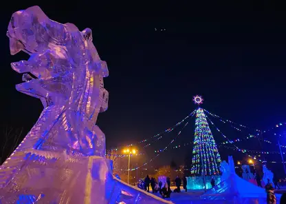 Стало известно, когда откроются елки в районах Красноярска