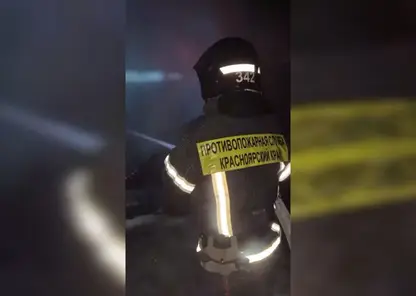 Пожар уничтожил почти 30 кур в деревне Красноярского края