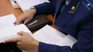 Сотрудников красноярского детского сада поймали на фиктивном трудоустройстве
