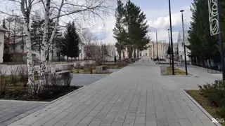 В Бородино Красноярского края обезвредили медведя