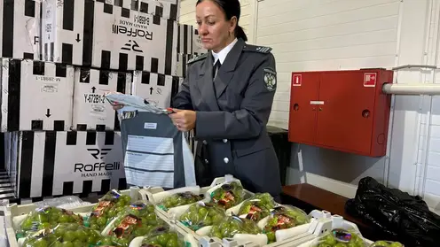 Россельхознадзор рассказал, что ввезли в Красноярский край в 2025 году