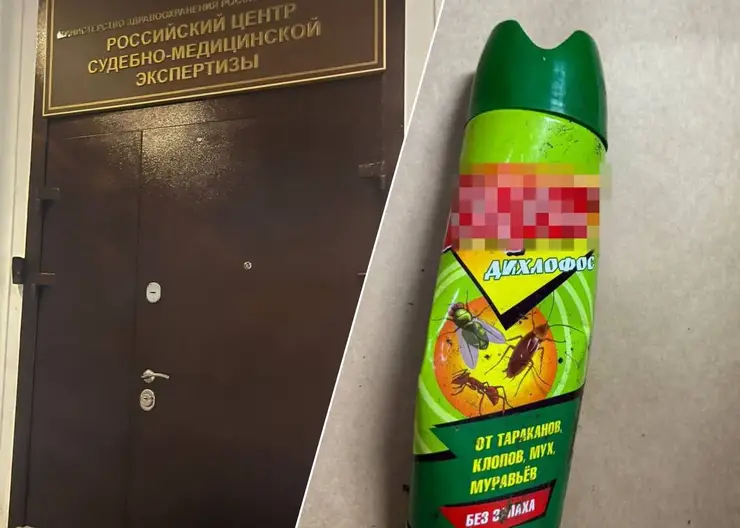 Эксперты доказали, что четверо детей в Красной Сопке погибли из-за отравления дихлофосом