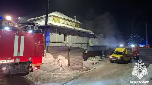 Пятеро подростков погибли в Кузбассе при пожаре в сауне