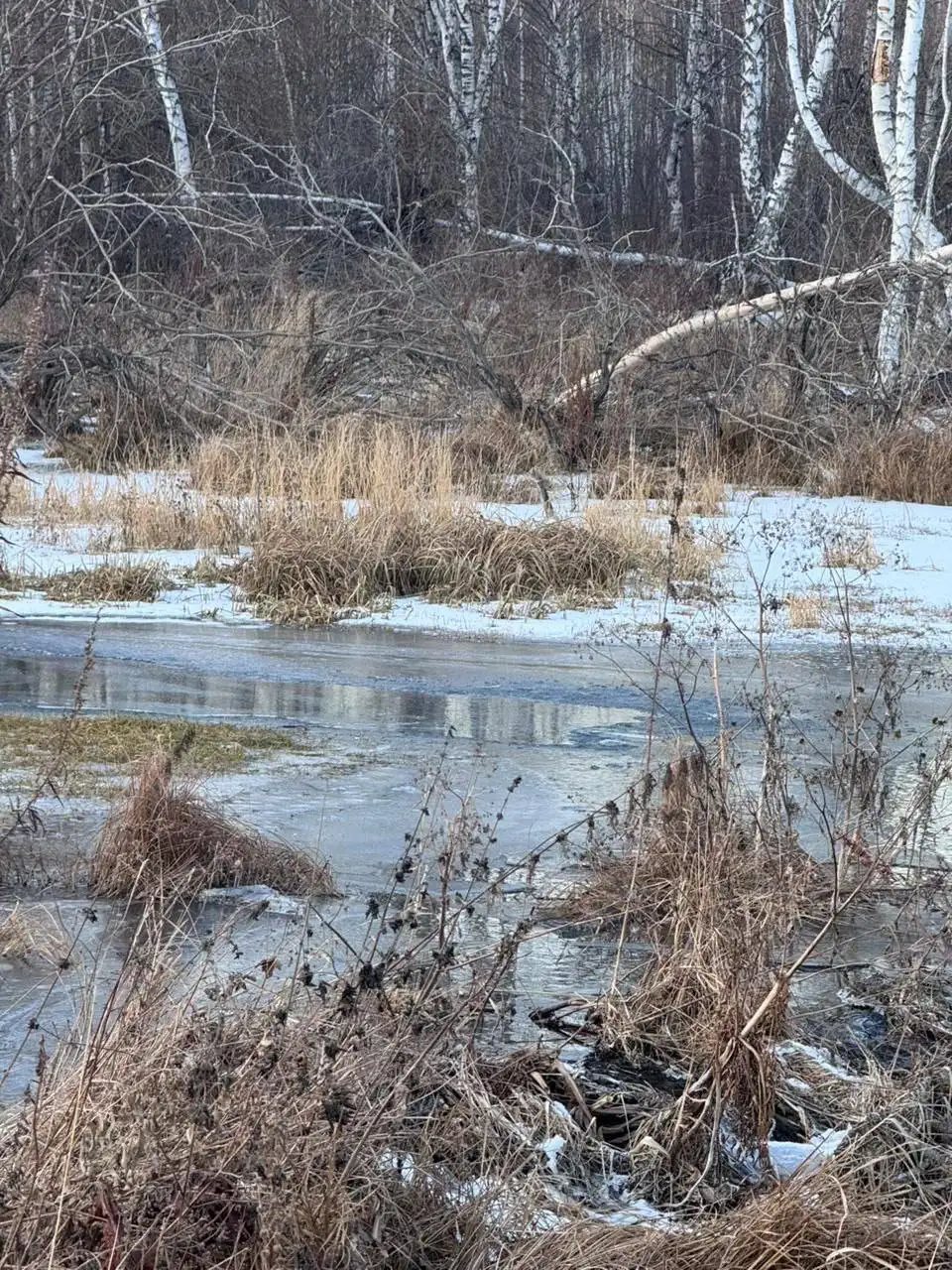 Фото: ГСУ СК России по Красноярскому краю и Республики Хакасия