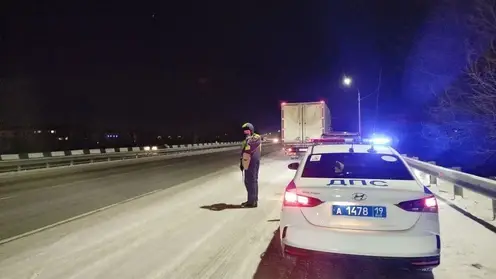 Из Красноярска в Хакасию пытались увезти 7 тонн мяса без документов — фуру задержали на ночном рейде