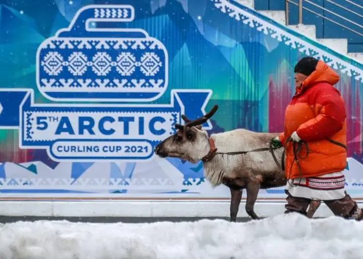 Таймырский проект поддержки народных ремёсел получит президентский грант 843 тысячи рублей