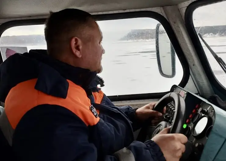 Спасатели в Красноярском крае пришли на помощь стаду косуль