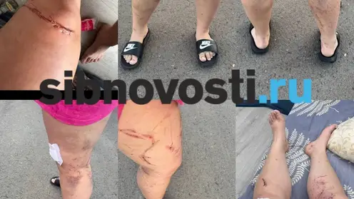 В Красноярском крае пьяный водитель сбил девушку с ребёнком и на машине прижал их к дому