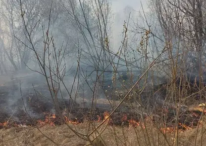 Полицейские задержали людей, устроивших пал сухой травы в Ачинском районе