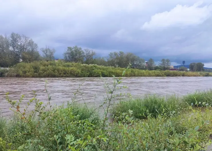 Чита уходит под воду: из-за затяжных дождей реки вышли из берегов
