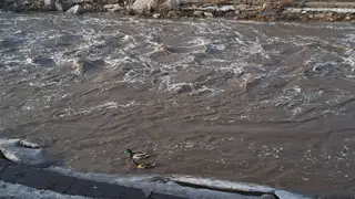 В большом Красноярске перешли на ежедневный мониторинг уровня малых рек