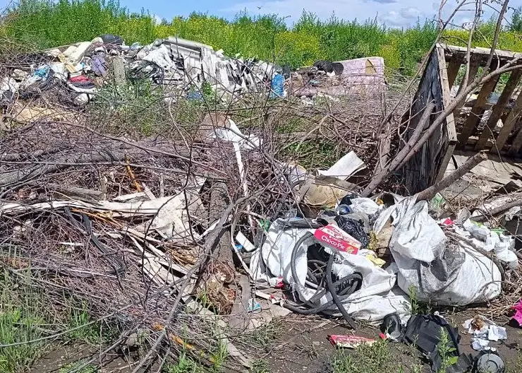 «Свалки — вина предпринимателей»: в Красноярске вновь ищут выход из мусорного тупика