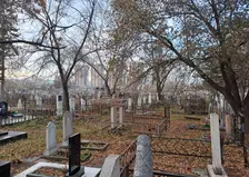 В Красноярске две могилы на Троицком кладбище признали объектами культурного наследия