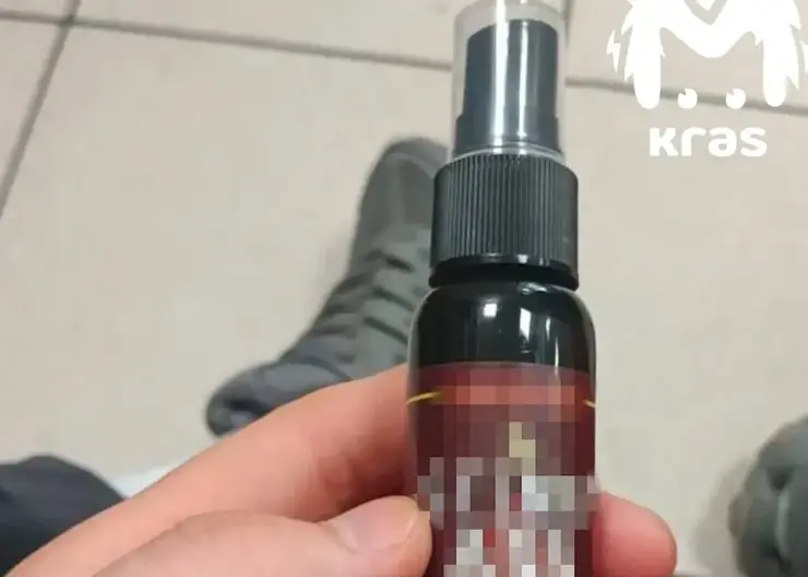 Пятиклассник разбрызгал спрей с неприятным запахом в школьном туалете Красноярска. Детям стало плохо