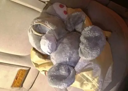 Плюшевый мишка с наркотиками. В Красноярске задержали девушку, перевозившую запрещёнку в игрушке