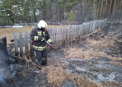 В Красноярском крае ликвидировали лесной пожар на площади больше 1 гектара