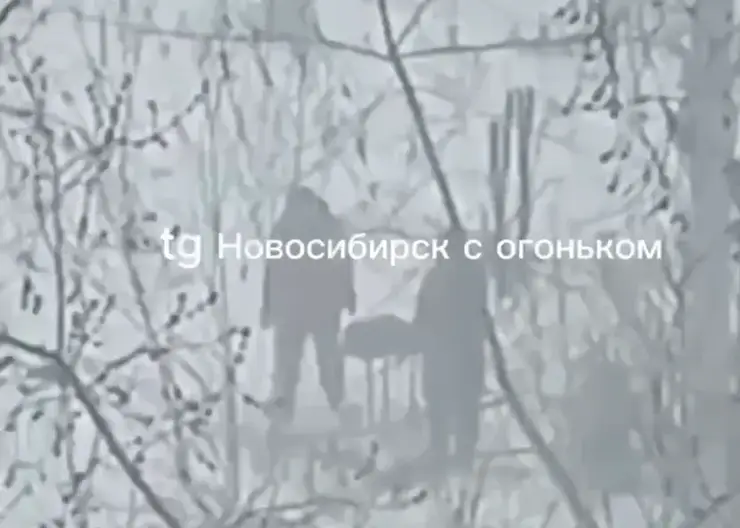 Новосибирцы жарили шашлыки в метель и штормовой ветер