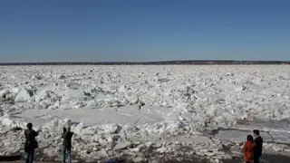 Ледоход начнется на Томи в Томской области ориентировочно в середине апреля