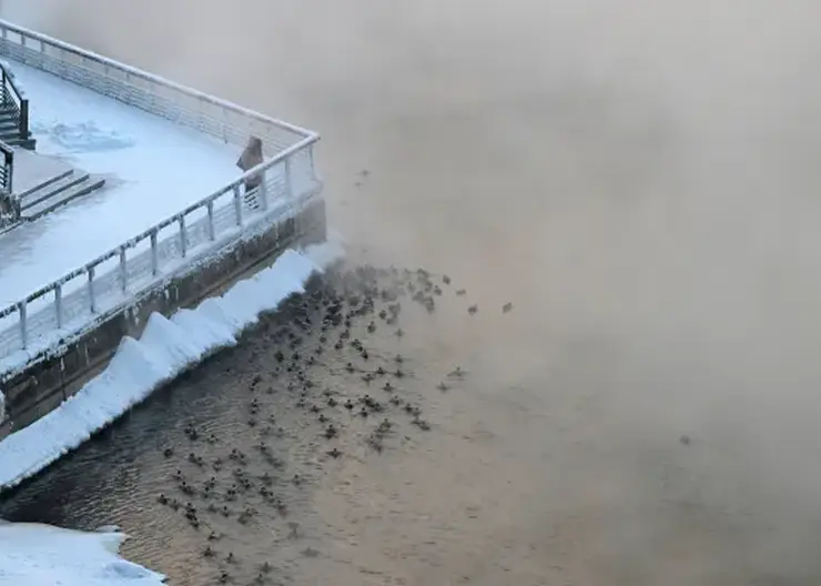 21 житель Красноярского края умер от обморожения с октября