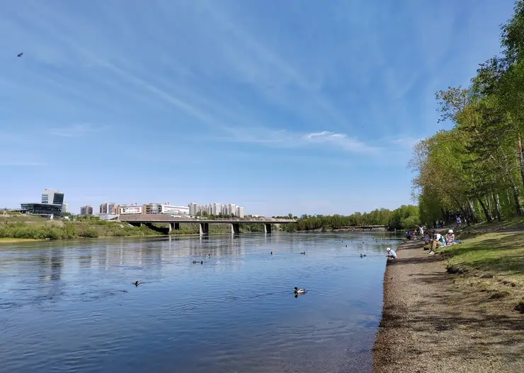 Жара до +38 ожидается в Красноярске в воскресенье