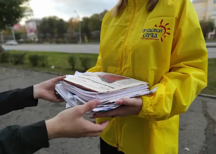 В Красноярске трудовой отряд главы города собрал около 500 кг макулатуры