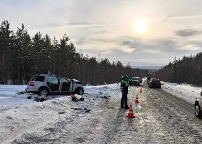 Отец с сыном погибли в ДТП на трассе в Иркутской области