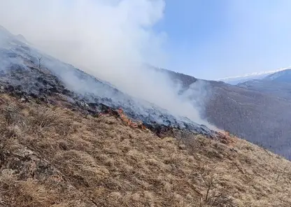 Пожар усиливается в Тункинском нацпарке Бурятии
