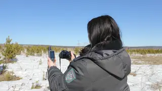 У красноярского предпринимателя изъяли почти 11 га сельхозземель за многолетнее бездействие