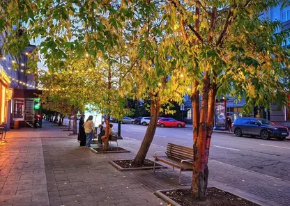 В Красноярск в эту пятницу придет бабье лето