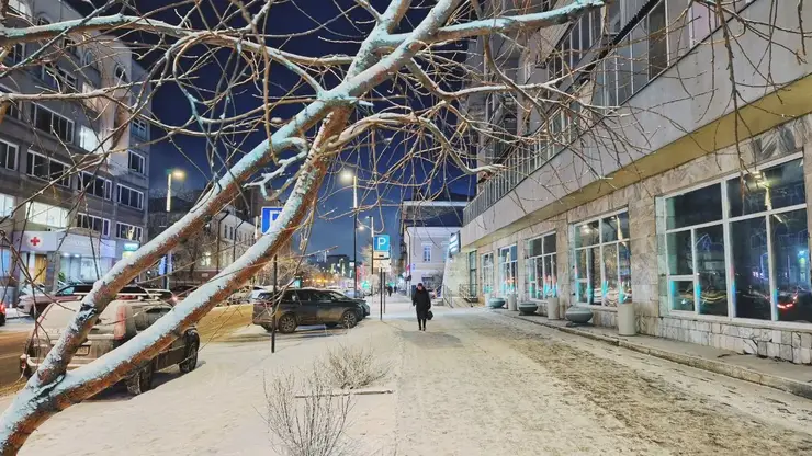 В Красноярском крае мороз забрал жизни троих человек