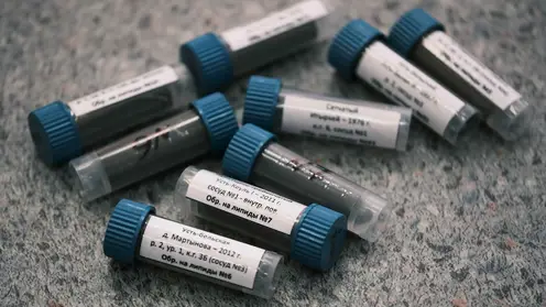 Красноярские учёные выяснили, чем питались древние жители Сибири 8 тысяч лет назад