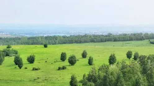 Жара отступает не везде: прогноз погоды в Сибири на июль