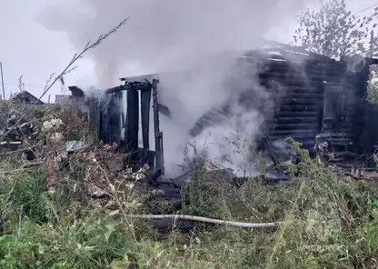 Семь пожаров потушены в Красноярском крае за сутки