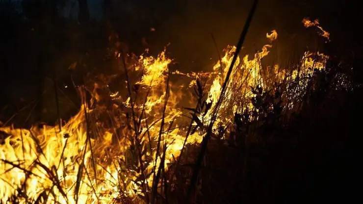 В Эвенкийском районе горят 348 гектаров леса