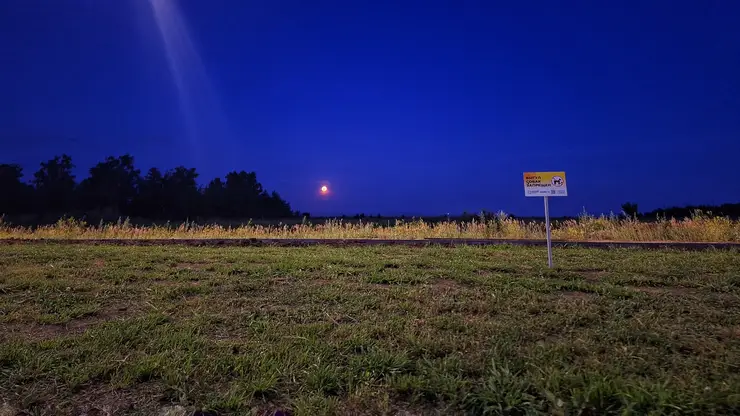 В Приангарье обработали почти 380 тысяч гектаров посевов от саранчи и мотыльков