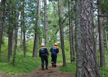 С начала осени в лесах Красноярского края потерялись 24 человека