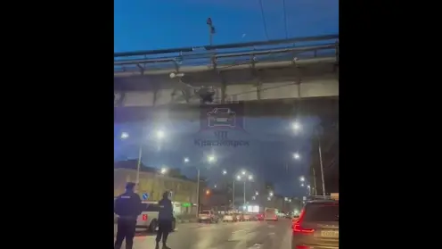 В Красноярске «спайдермен» залез на виадук и грыз троллейбусные провода