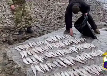 Транспортные полицейские изъяли 44 браконьерские сети из озера Байкал