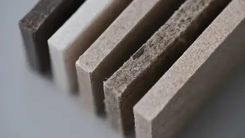 Красноярские ученые создали экологичные композиты из биоразлагаемого полимера и растительных отходов