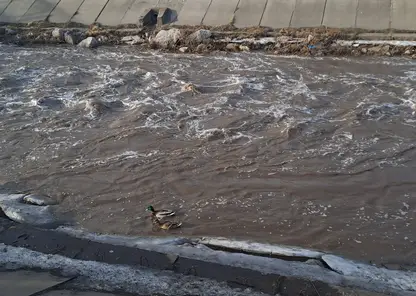 В большом Красноярске перешли на ежедневный мониторинг уровня малых рек