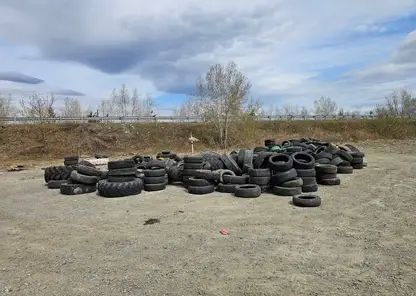 В районе Берёзовки под Красноярском обнаружили огромную свалку автомобильных шин