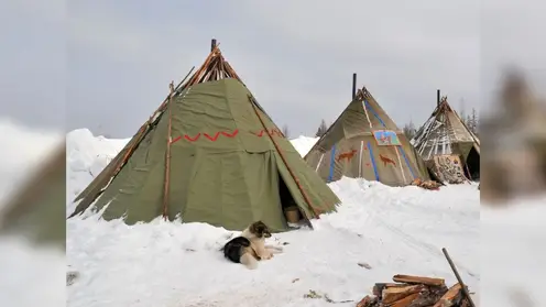 В Красноярском крае северяне смогут обучиться редкой профессии в 2026 году