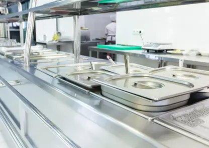 Во Владивостоке в школьных котлетах обнаружили тараканов: прокуратура начала проверку