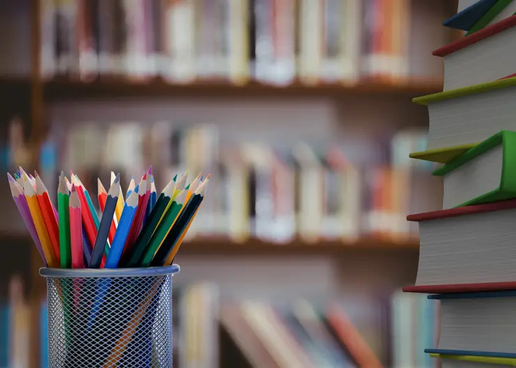 На Таймыре брат с сестрой ушли из дома в школу и не вернулись