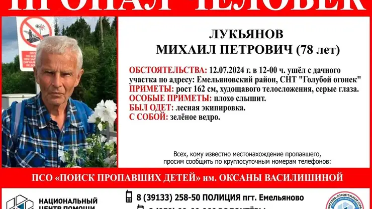 Пропавшего пенсионера в Емельяновском районе, ищут третий день