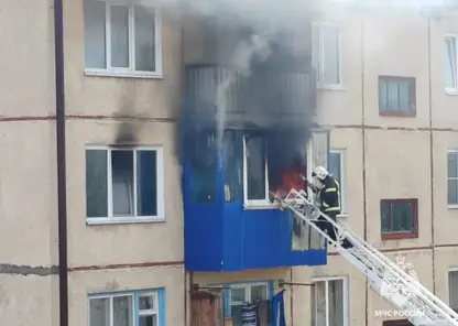 За неделю в Красноярском крае потушили 60 пожаров