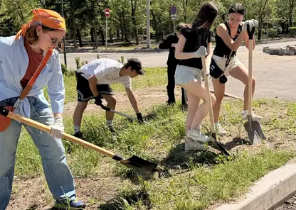 В Красноярске экоцентр «Круговорот» отметил День эколога
