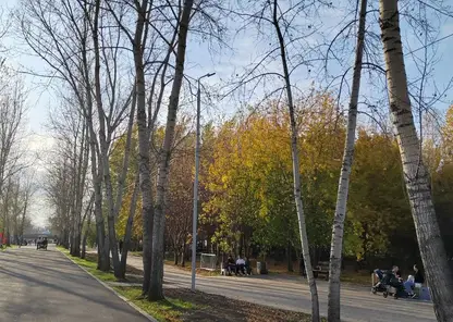 Суббота в Красноярске будет сухой и прохладной